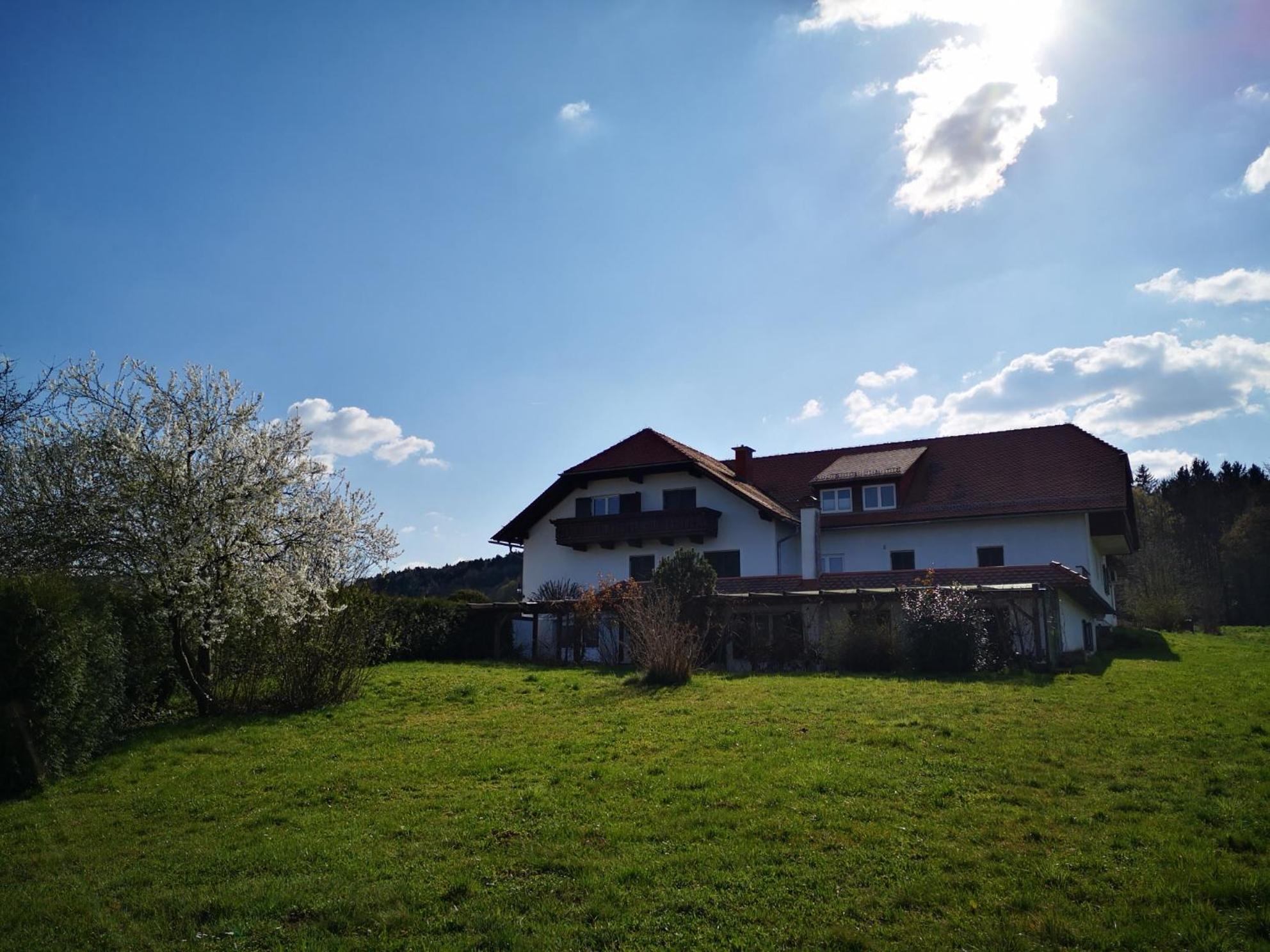 Aparthotel "Goldener Hahn Apartments" Bad Waltersdorf Exterior photo
